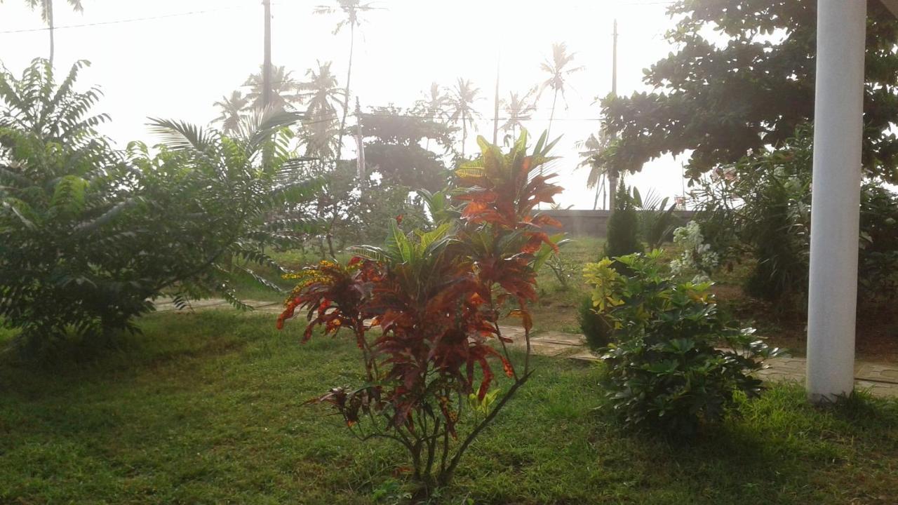 Masha Beach Inn Tangalle Eksteriør billede
